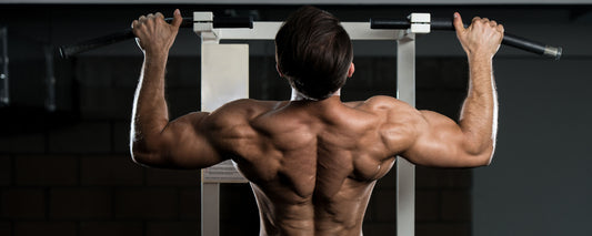 Top 10 Back Exercises for Building Muscle